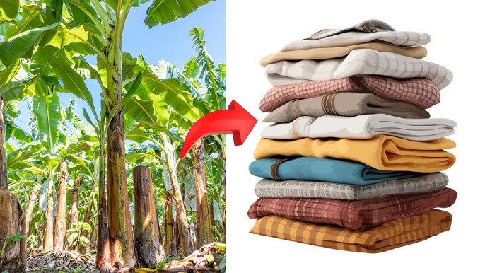 Banana Fabric - Ecoban Handicarft